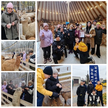 Особый тур окт